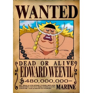 Placa Decorativa OnePiece Wanted Edward Weevil